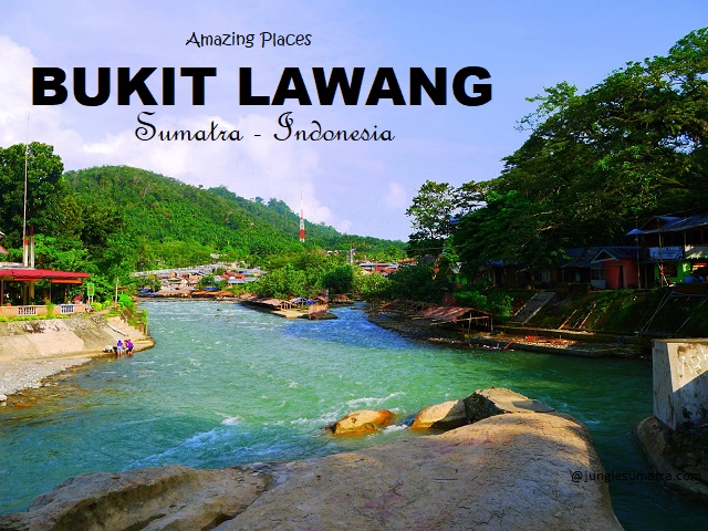 Bukit Lawang Sumatra