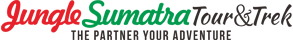 Jungle Sumatra